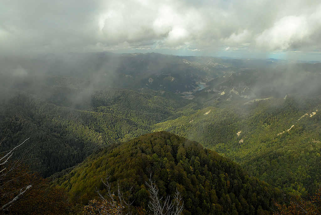 pn foreste casentinesi 19