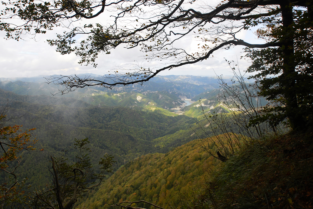 pn foreste casentinesi14