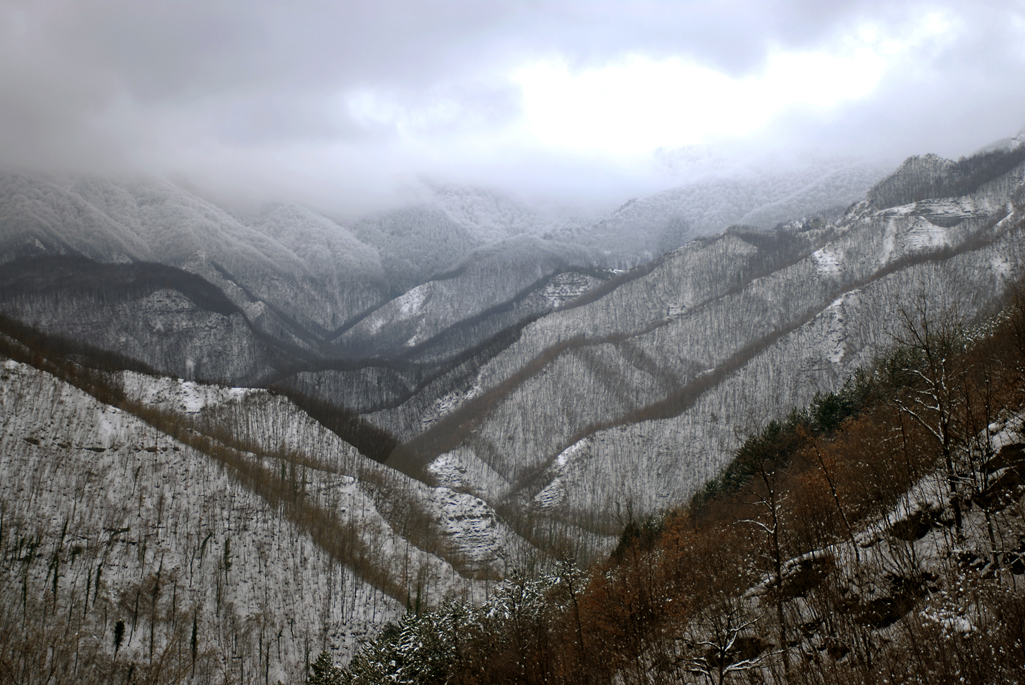 pn foreste casentinesi15