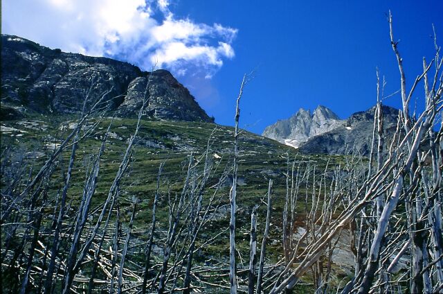 PN Torres del Paine, Chile