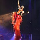 P!nk in Regensburg!