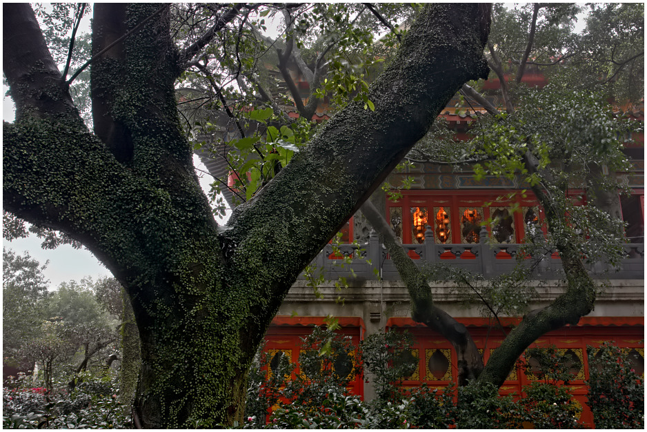 Po Lin Monastery, Lantau