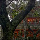 Po Lin Monastery, Lantau