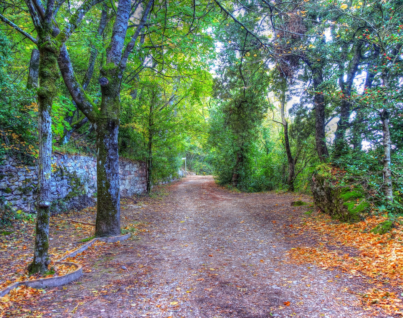 Poblet (Les Masies) - La Pena - Conca de Barberà