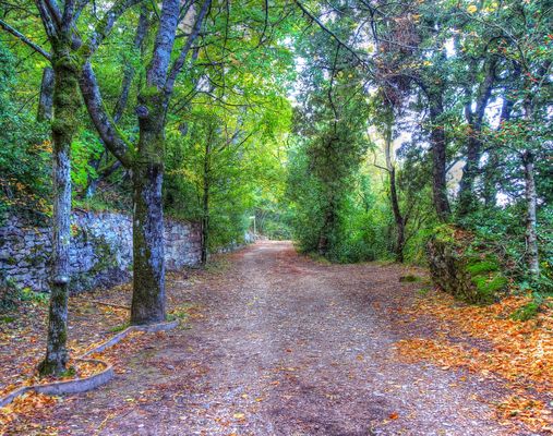 Poblet (Les Masies) - La Pena - Conca de Barberà
