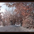 Poco dopo l'alba. E' il secondo giorno di neve