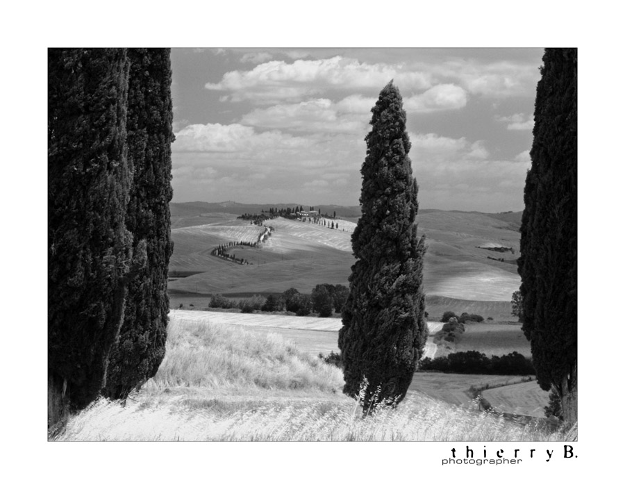 Podere alla Crete