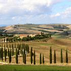  Podere Baccoleno