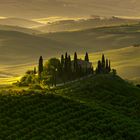 Podere Belvedere im Val d' Orcia, Toscana