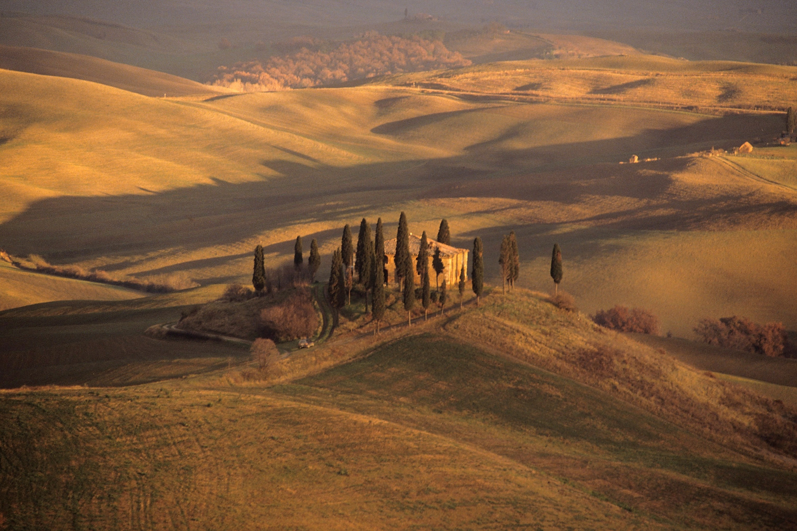 Podere Belvedere - Val d' Orcia