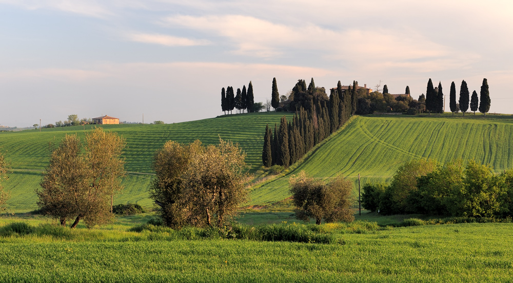 *Podere Fattoria Poggio Manzuoli*