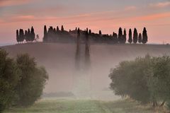 *Podere Fattoria Poggio Manzuoli*