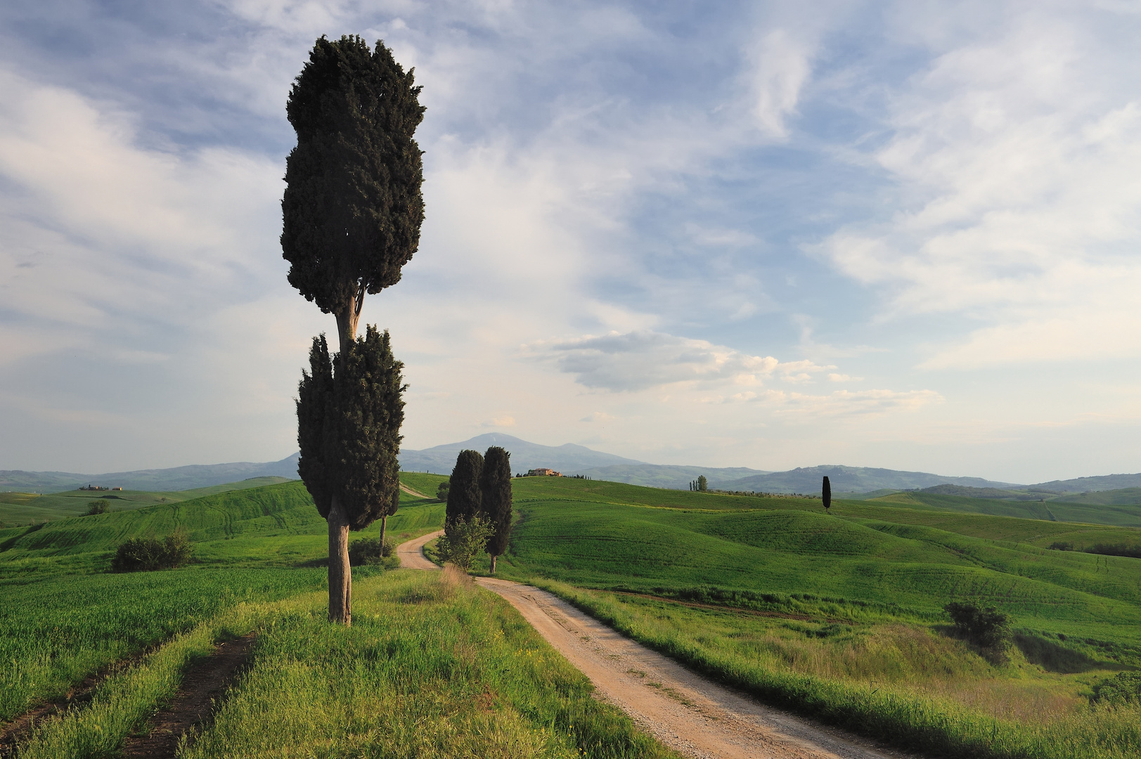 *podere terrapille primavera*