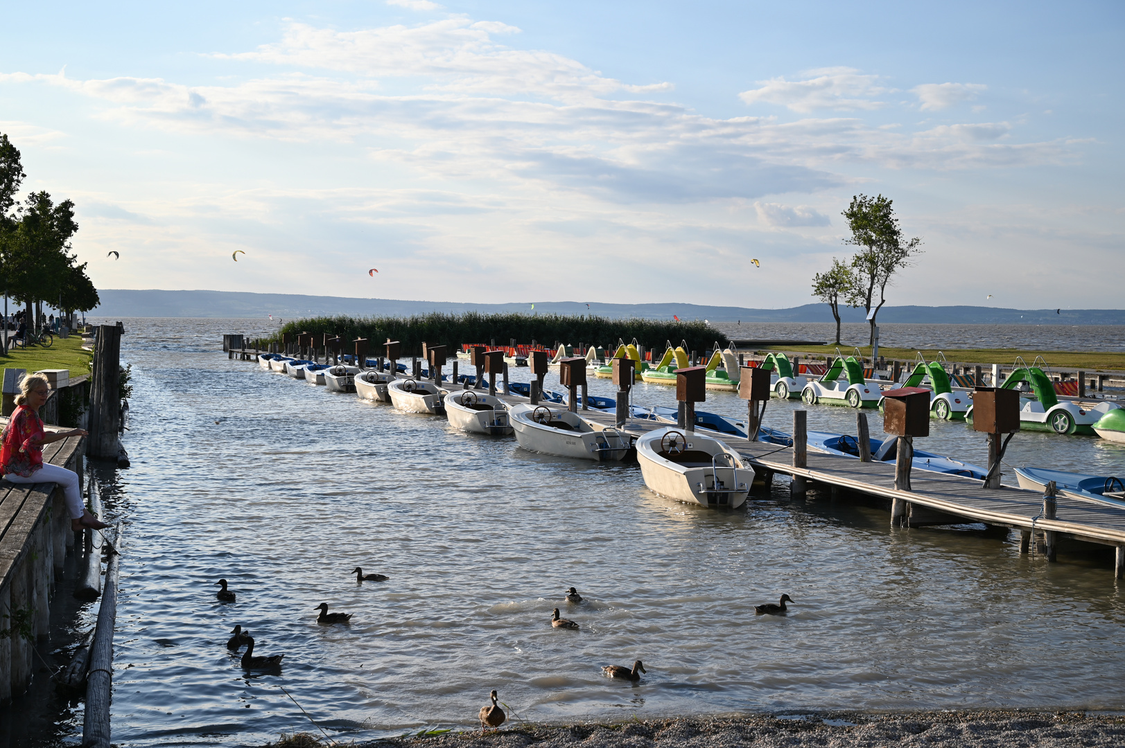 Podersdorf Juli 2018