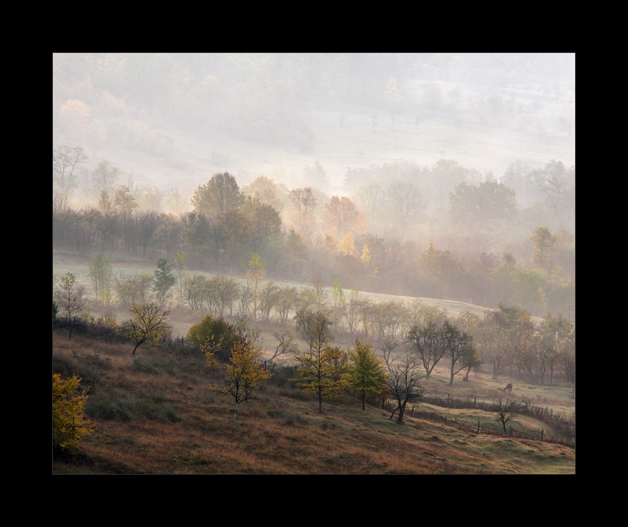 Podul Ursului. Yellow morning III