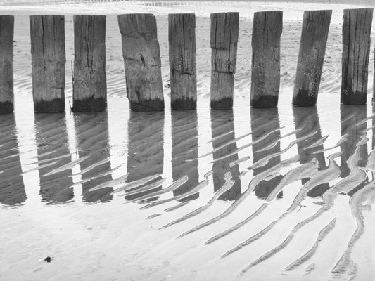 Poel im Februar 2023