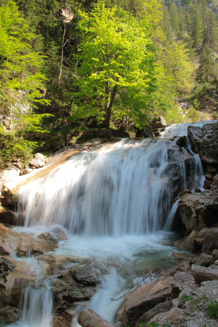 Pöllatschlucht / Neuschwanstein