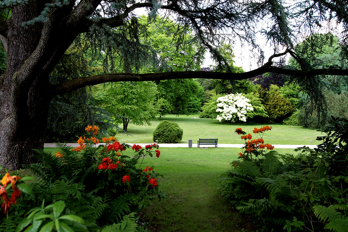 Poensgenpark Ratingen Foto & Bild landschaft, garten