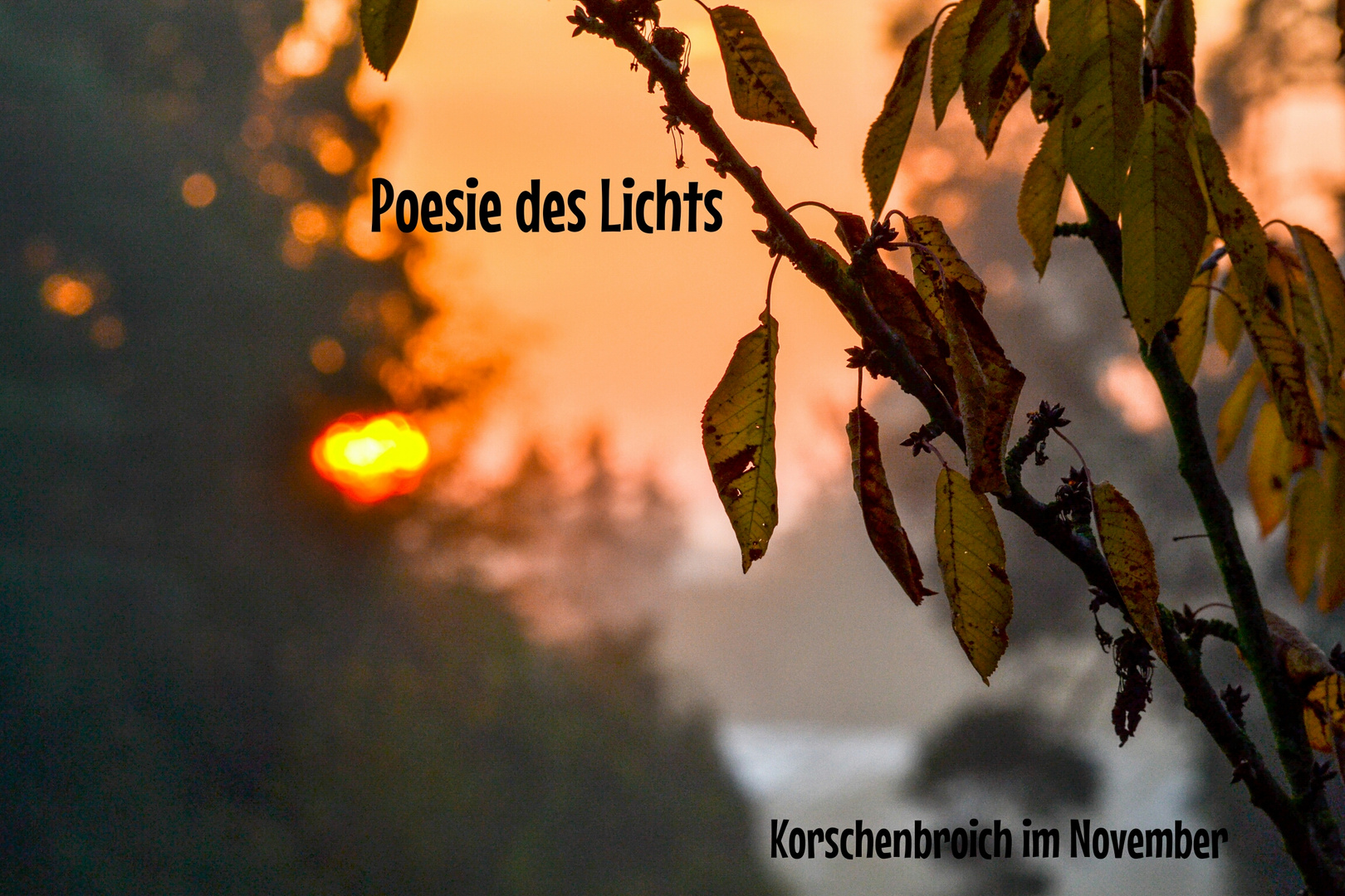 Poesie des Lichts