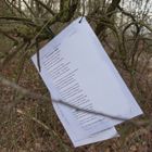 Poesie im Wald