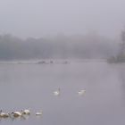 Poésie sur la Loire 