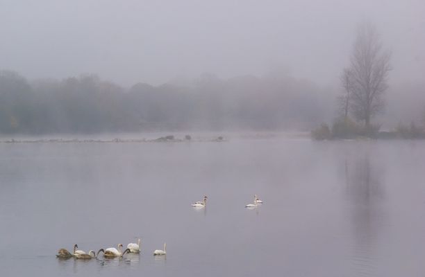 Poésie sur la Loire 