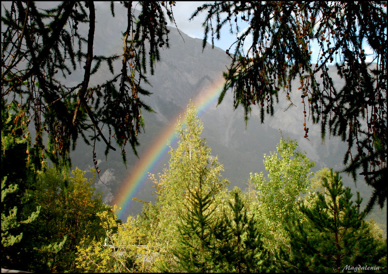 Poésie tricolore