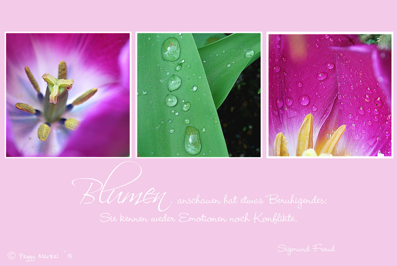 Poetische Tulpen...