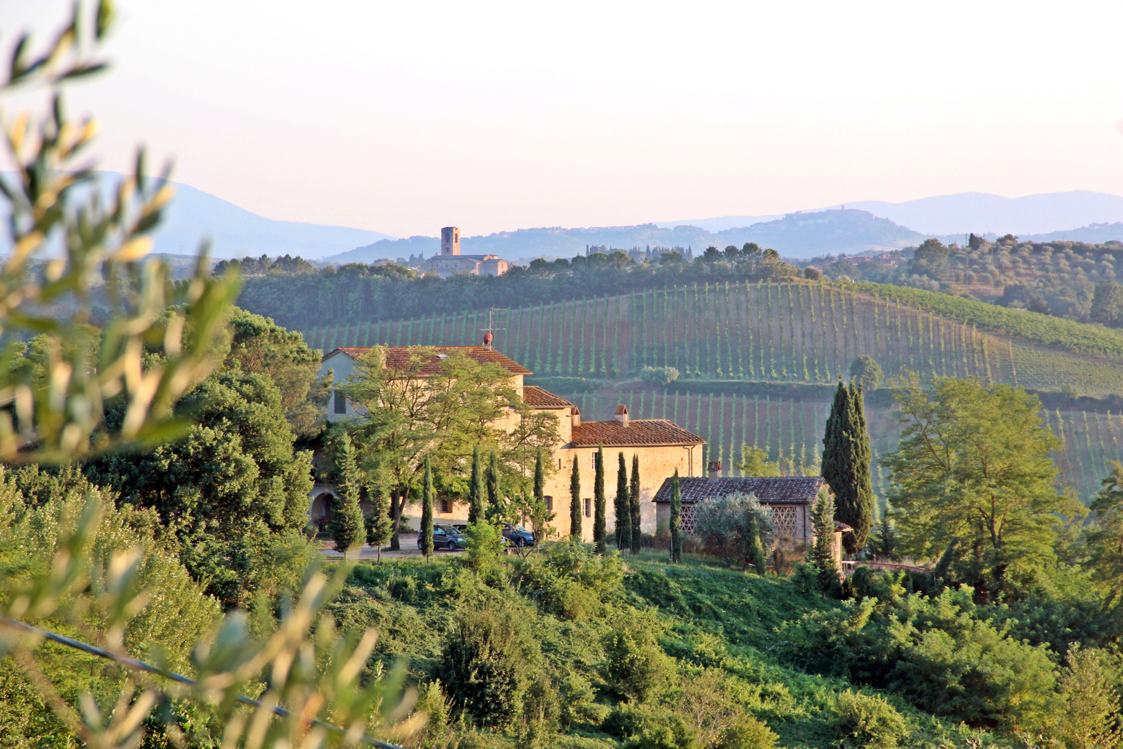 Poggio al Leccio - das Heim von Marco Magni in der Nähe von Poggibonsi