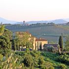 Poggio al Leccio - das Heim von Marco Magni in der Nähe von Poggibonsi