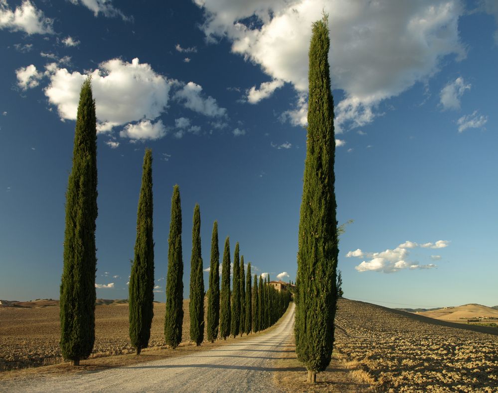 Poggio Covili Foto & Bild | landschaft, alleen, natürlich Bilder auf