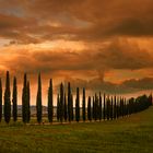 Poggio Covili Morning