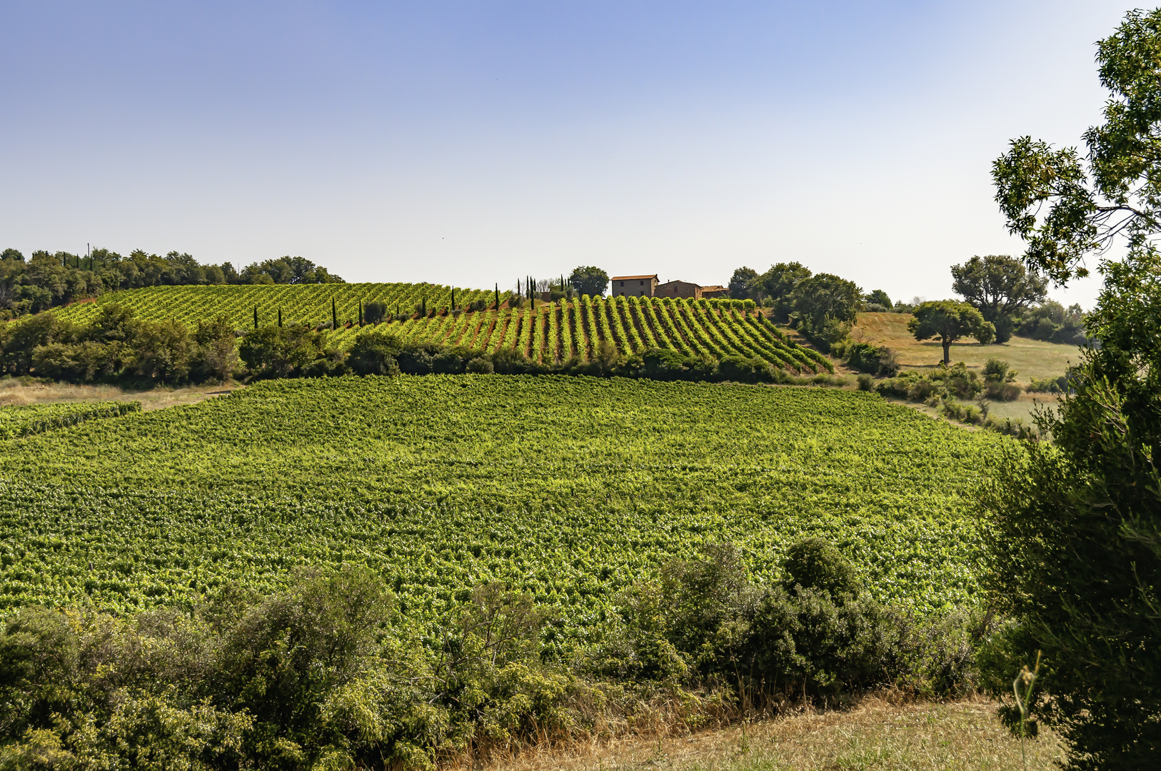 Poggio della Castellina