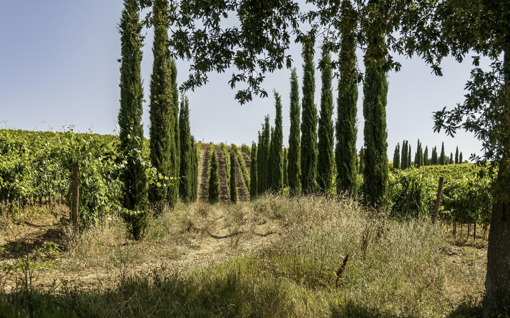 Poggio di Poder Nuovo