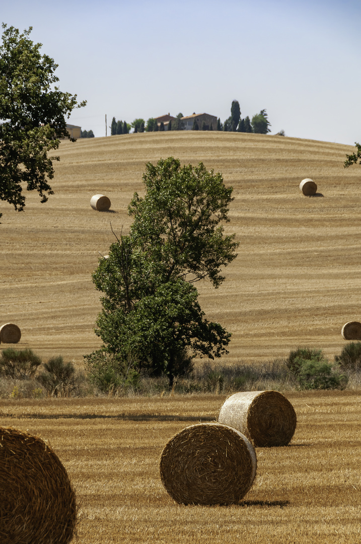 Poggio Tobruk Pienza