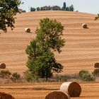 Poggio Tobruk Pienza