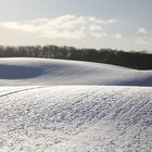 Pohnstorfer Schattenwellen