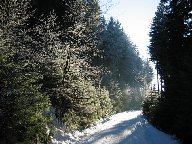 Pohorje