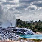 Pohuto Geysir - Wakarewarewa 