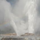 Pohutu-Geyser