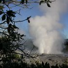 Pohutu Geysir