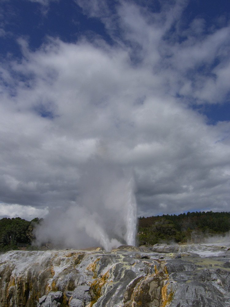 Pohutu Geysir in Rotorua