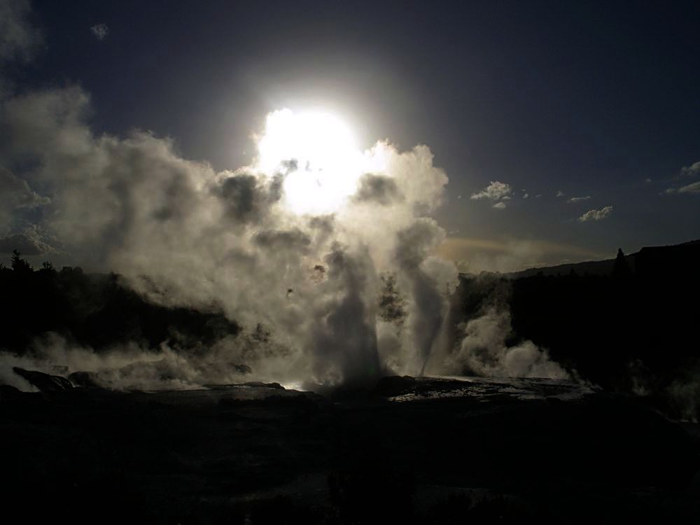 Pohutu Geysir in Rotorua