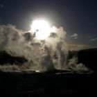 Pohutu Geysir in Rotorua