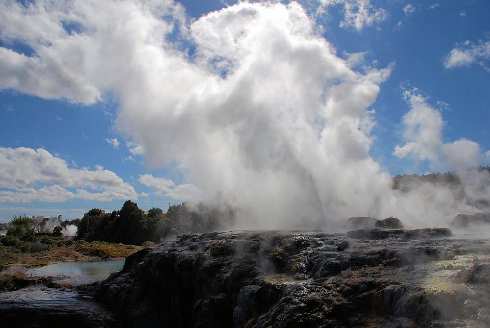 Pohutu Geysir - Rotorua