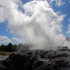 Pohutu Geysir - Rotorua