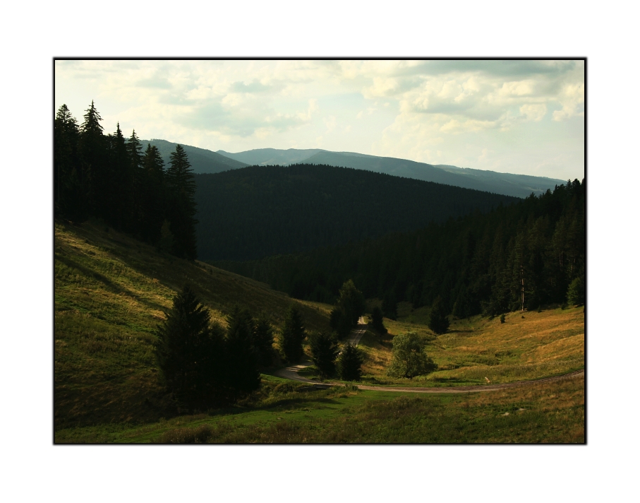 Poiana Foto & Bild europe, balkans, romania Bilder auf