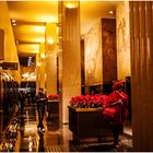 Poinsettias and Lady in Red in an Art Deco Space