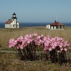 Point Cabrillo Lighthouse