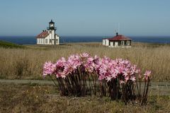 Point Cabrillo Lighthouse